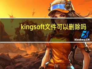 kingsoft文件可以删除吗