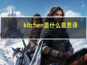 kitchen 是什么意思译