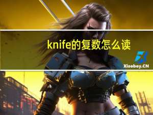 knife的复数怎么读（knife的复数）