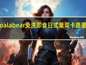 koala bear 免洗即食日式紫菜卡路里是多少