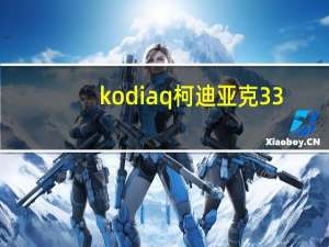 kodiaq柯迪亚克33（kodiaq）