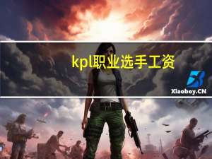 kpl职业选手工资