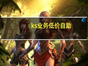 ks业务低价自助 - 会员卡盟