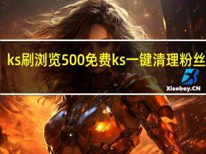 ks刷浏览500免费 ks一键清理粉丝网站
