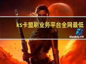 ks卡盟刷业务平台全网最低 - 查抖店数据网站