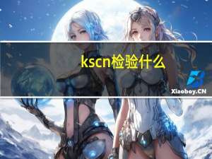 kscn检验什么