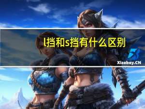 l挡和s挡有什么区别