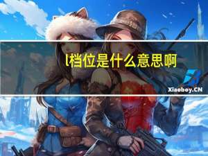 l档位是什么意思啊