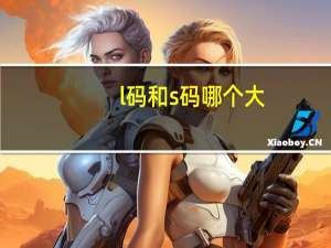 l码和s码哪个大