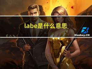 labe是什么意思（labelflash）