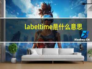 label time是什么意思