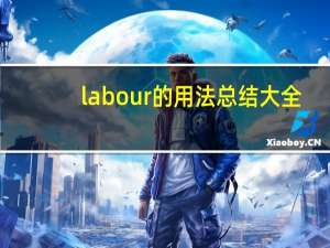 labour的用法总结大全