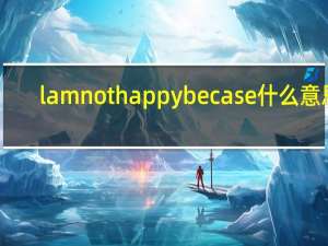 lamnothappybecase什么意思