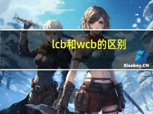 lcb和wcb的区别