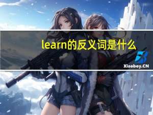 learn的反义词是什么