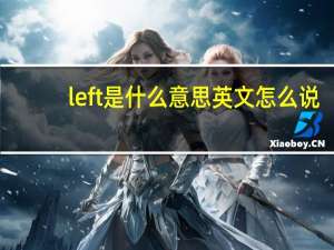 left是什么意思英文怎么说（left是哪个键）
