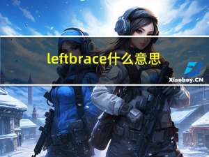 leftbrace什么意思（leftbrace）