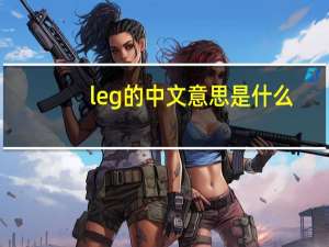 leg的中文意思是什么