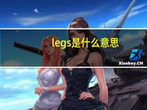 legs是什么意思