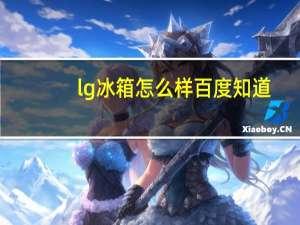 lg冰箱怎么样百度知道（lg冰箱怎么样）