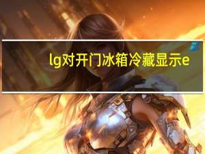 lg对开门冰箱冷藏显示e