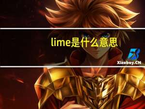 lime是什么意思