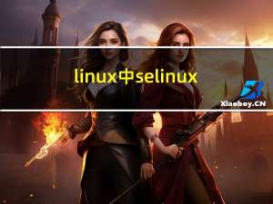 linux中selinux（selinux是什么）