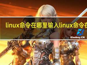 linux命令在哪里输入linux命令在哪