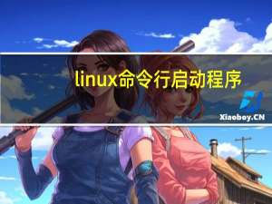 linux命令行启动程序