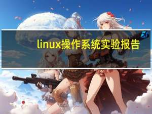 linux操作系统实验报告（操作系统实验报告）