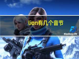 lion有几个音节