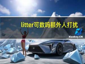 litter可数吗额外人打扰