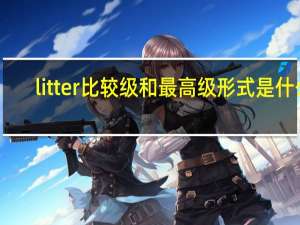 litter比较级和最高级形式是什么