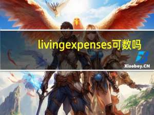 living expenses可数吗