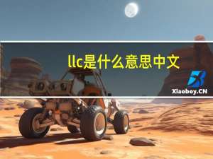 llc是什么意思中文（llc是什么意思）