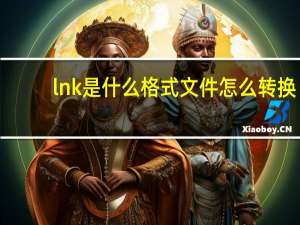 lnk是什么格式文件怎么转换（lnk是什么格式）