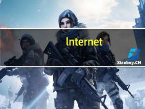 lnternet（explorer）