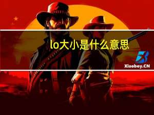 lo大小是什么意思