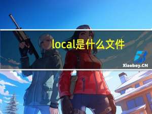 local是什么文件
