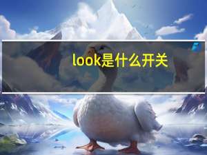 look是什么开关