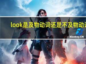 look是及物动词还是不及物动词