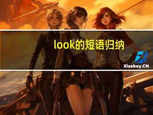 look的短语归纳