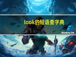 look的短语查字典