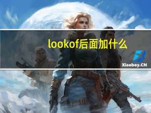 look of后面加什么