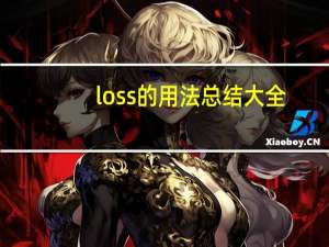 loss的用法总结大全