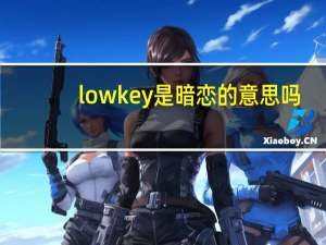 lowkey是暗恋的意思吗