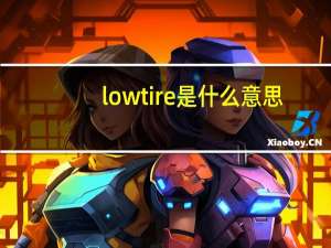 lowtire是什么意思