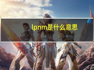 lpnm是什么意思（lpm是什么单位）