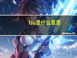 lsu是什么意思