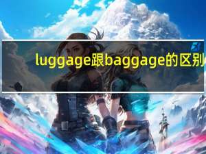 luggage跟baggage的区别